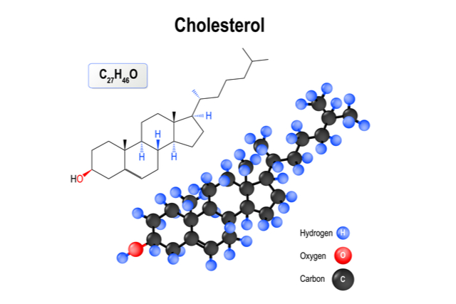 Cholesterol by Dr Agnes Ryu