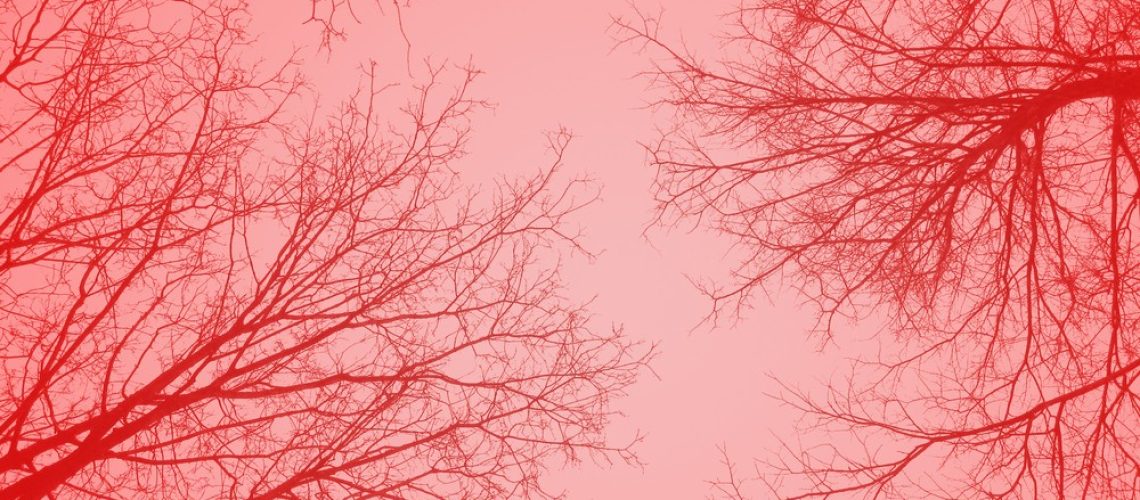 Angiogenesis by Dr Agnes Ryu