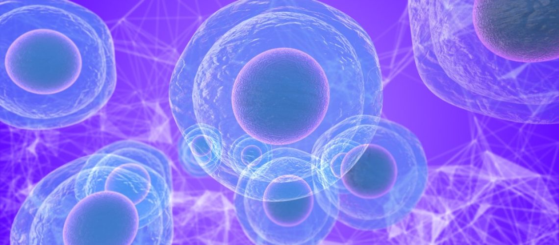 57372775_6119563556266_937402386450743296_n